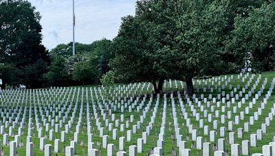 Scott W. Patton: My brother’s grave is not a campaign trail