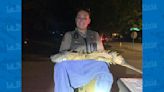 Iguana de cinco pies de largo atrapada deambulando por vecindario de Raleigh - La Noticia