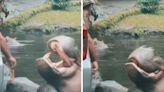 Watch: Man Throws Plastic Bag Into Hippo’s Mouth At Indonesia Safari Park, Internet Upset - News18