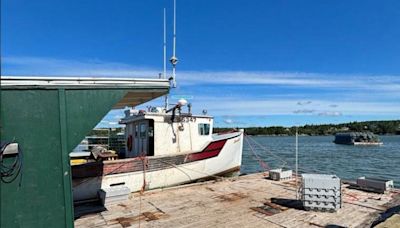 800 pounds of lobster stolen from N.B. wharf: RCMP