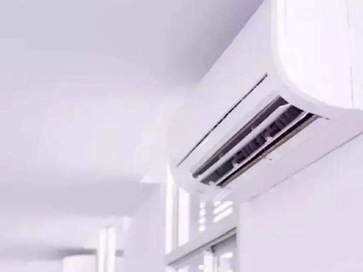 Indian AC industry likely to double in next 4 years: Blue Star