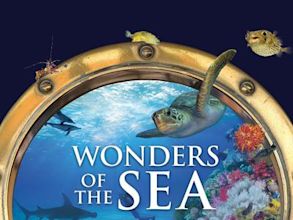 Wonders of the Sea