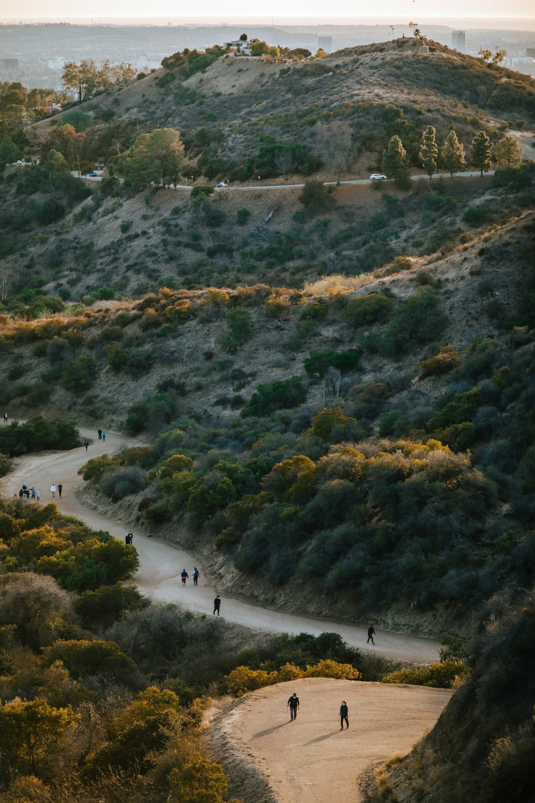 Hiker Rescued In Griffith Park Near Hogback Trail - Canyon News