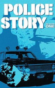 Police Story (1973 TV series)