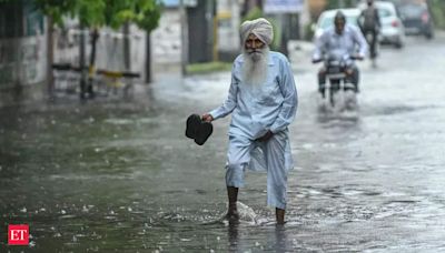 India records 11% below normal rainfall in June, weather department says