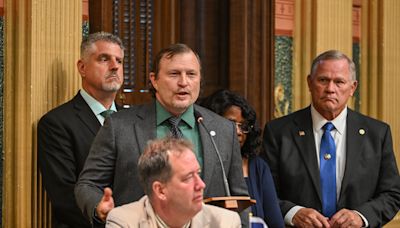 Rep. Bruck's plan for veterans' mental health passed through House