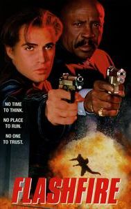 Flashfire (film)