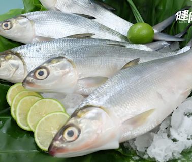 虱目魚增肌減脂最佳助攻手！虱目魚從頭到尾料理全攻略 煎魚肚要放油嗎