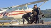 Baby moose trapped in Alaska lake rescued by bystanders, reunited with worried mom