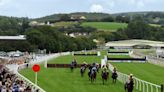 Four horse deaths in single afternoon of racing blamed on ‘unique circumstances’