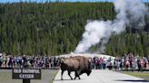 Old Faithful Erupts - With Five Stock Picks