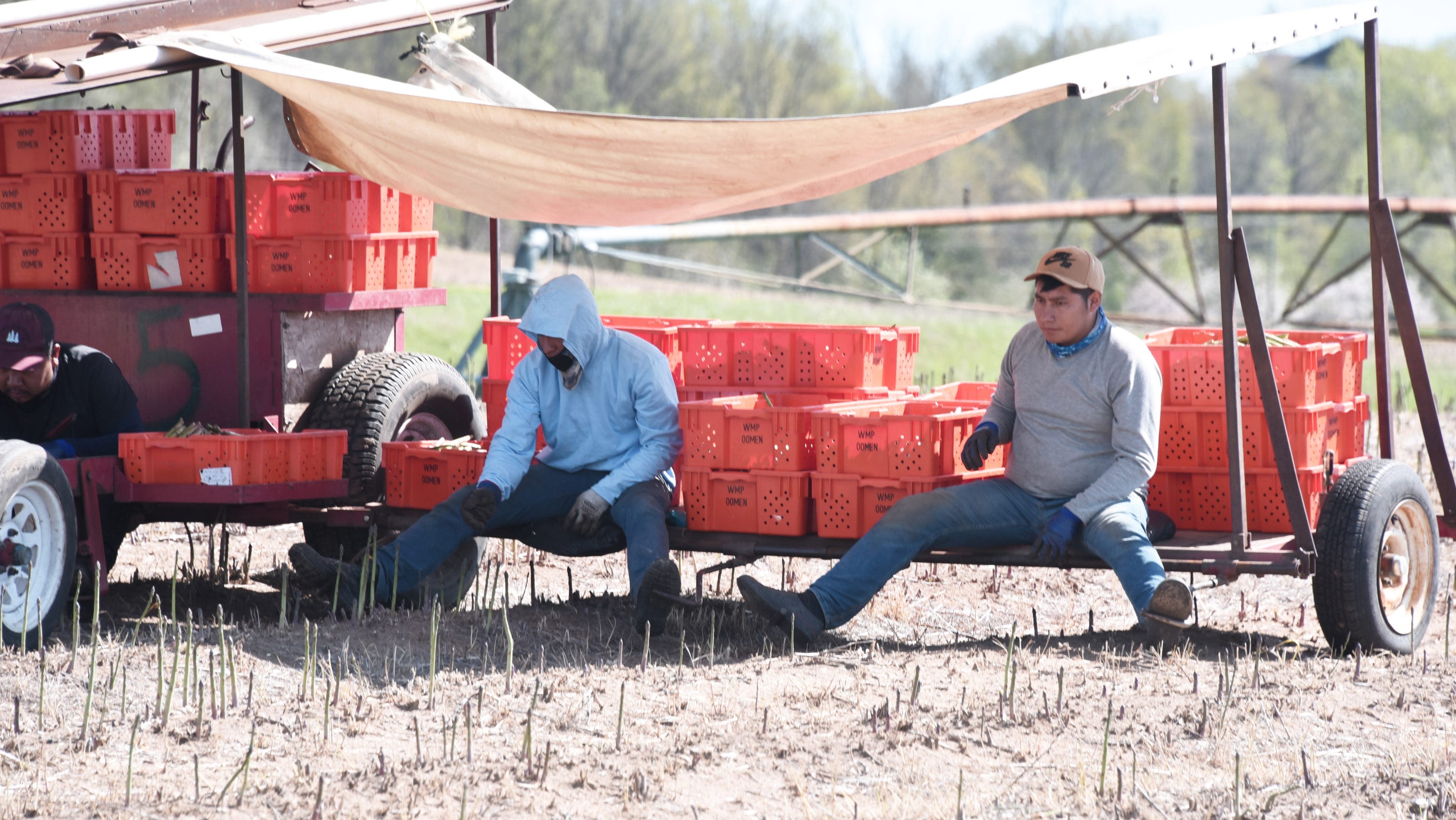 Editorial: Rising labor costs threaten Michigan's farms
