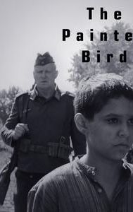 The Painted Bird (film)