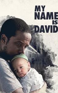 My Name Is David