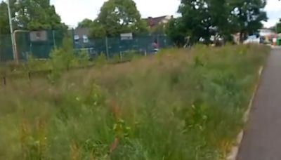 Angry Glasgow parents hit out at overgrown parks leaving kids with 'nowhere to go'