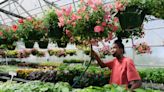 Annual plant sale brightens Brookwood High School's spring