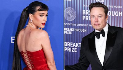 Katy Perry Trashed for Elon Musk Shoutout With New Tesla Cybertruck: 'Not Too Late to Delete This'