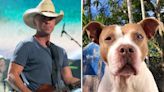 Kenny Chesney to Release Charitable Song in Honor of Late Dog Ruby: 'They Give So Much Love'