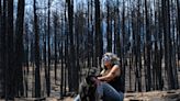Crowning Fury: New Mexico Wildfire Reignites Long-Standing Tensions