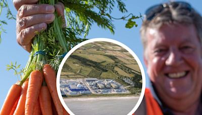 Sizewell C aims to provide £60m boost to local food producers with sourcing pledge