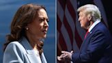 What Expert Who Predicted 9 US Polls Correctly Said On Trump vs Harris