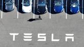 Tesla profits drop 55%, company says EV sales 'under pressure' from hybrids