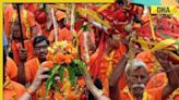 Kanwar Yatra and the freedom of the sheep