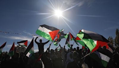 Experts question arrests for waving flags of ‘friendly’ country Palestine