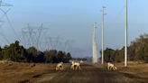 El planeta necesita energía solar, pero ¿podremos construirla sin dañar la naturaleza?