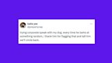 25 Of The Funniest Tweets About Cats And Dogs This Week (June 1-7)