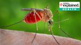 West Nile fever cases detected in Kerala: What is the disease, how can it be prevented?