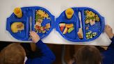 Healthy childhood diet keeps dementia away, scientists say