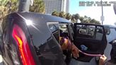 VIDEO: Woman charged with animal cruelty after Clearwater Police rescue dog from hot car