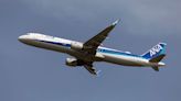 American passenger bites flight attendant, forcing plane to return to Tokyo, airline says