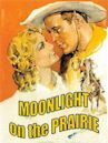 Moonlight on the Prairie