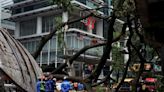 Massive tree falls across busy road in Malaysian capital, killing one man, damaging cars