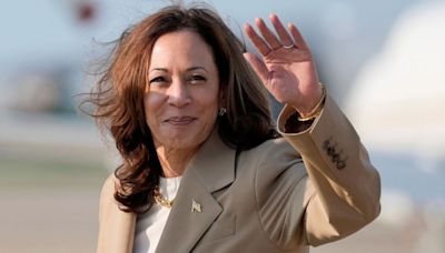 Opinion: White Dudes For Harris Seemed Weird: I Was Wrong
