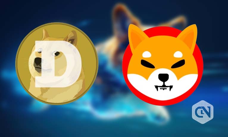 Doge vs. ADA One survives bear market