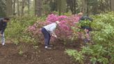 Camp Good Days prepares 'Teddi's Place' at Highland Park ahead of the Lilac Festival