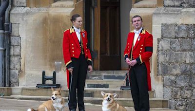 Queen Elizabeth’s Corgis Heartbreakingly Bid Her a Final Farewell Before the Monarch’s Burial Two Years Ago