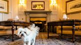 6 of the best dog-friendly Christmas breaks in the UK