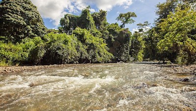 World Rivers Day: A call to action for our vital waterways! - Opinion