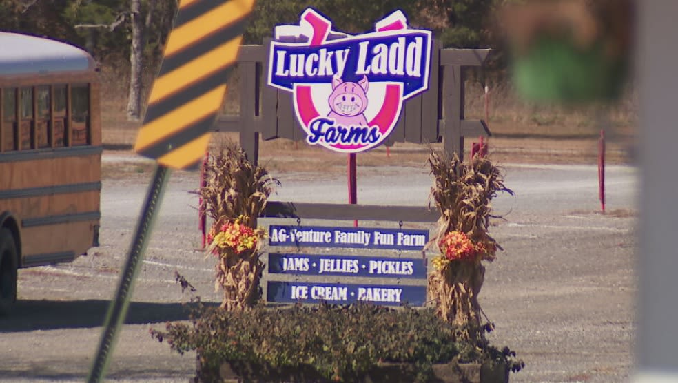 Lucky Ladd Farms closed after taking direct hit from severe weather on Wednesday