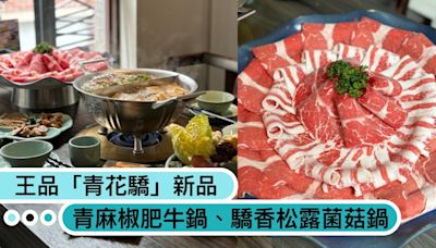 王品「青花驕」新品！「青麻椒肥牛鍋」凍豆腐無限量吃，還有全台唯一「驕香松露菌菇鍋」