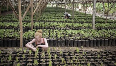 Madagascar: hausse alarmante des attaques contre les albinos dans le sud-est du pays