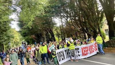 ‘Does somebody have to get killed?’ –Kildare primary school students protest for a safer access route to school