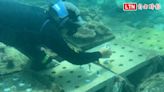 澎湖遊客「種珊瑚」 打造馬公杭灣海底花園復育生態 - 自由電子報影音頻道
