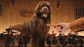 Dogs' Tails Serve as Orchestra Conductors — Here's How They Did It (Hint: Treats Were Involved!)