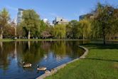 Boston Public Garden