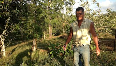 Costa Rica retoma el viejo anhelo de la minería de oro para evitar la explotación ilegal